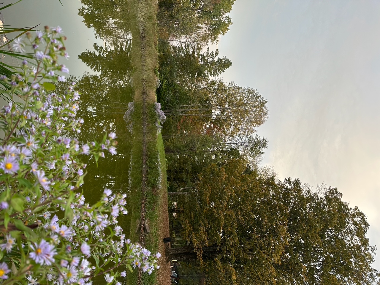 Scenery 2